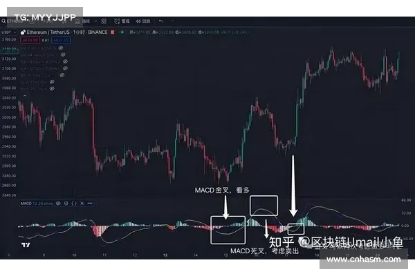 CZ大喊牛市来了 中国央视大谈比特币、香港交易所发牌是反转讯号 CZ大喊牛市来了 中国央视大谈比特币、香港交易所发牌是反转讯号